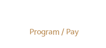 프로그램 비용